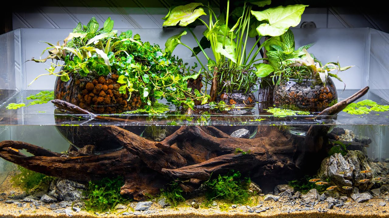 ⁣Bog Orb Riparian Planters Aquascape (DIY Upflow Filtration Aquarium)