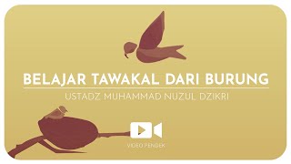 156. BELAJAR TAWAKAL DARI BURUNG (1 menitan)