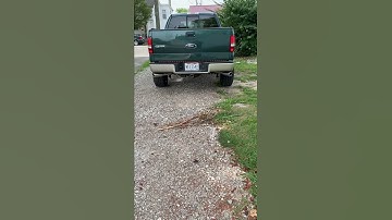 2008 f150 5.4 3v with pacesetter longtube headers