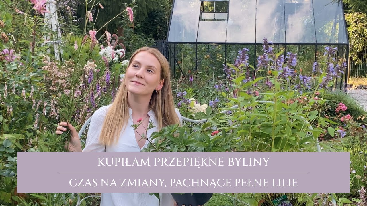 Sierpniowe nowości ogrodowe | kupiłam przepiękne byliny | pełne lilie o słodkim zapachu