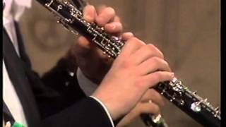 Symphonie Nr. 2 - Charles Ives - BR-Symphonieorchester - Leonard Bernstein (VHS)