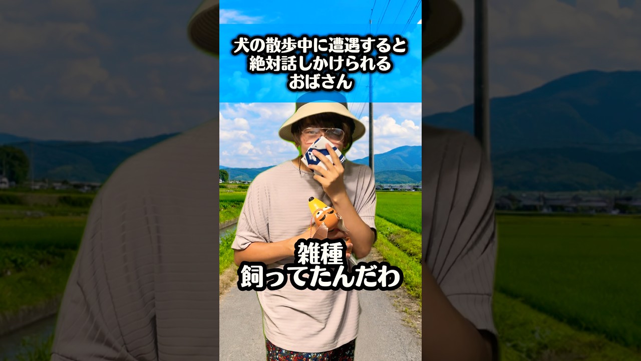 犬の散歩中に遭遇すると絶対話しかけられるおばさん