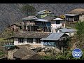 Who are the Gurungs? The Himalayan honey-gathering tribe to meet...