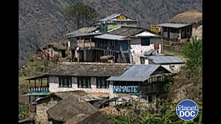 Who are the Gurungs? The Himalayan honey-gathering tribe to meet...