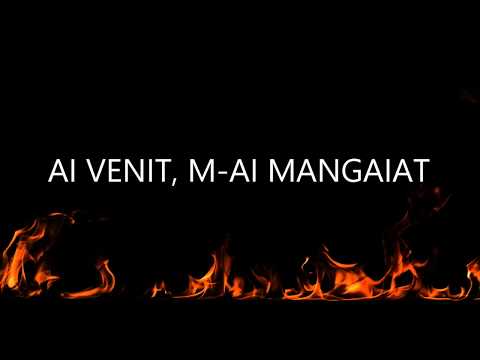 Video: Poți fi mângâiat?