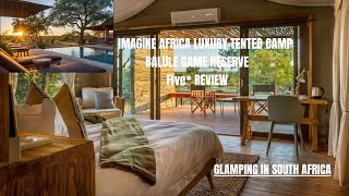 Glamping in South Africa!!! Imagine Africa Luxury Tented Camp 5 Star Review! Balule Greater  Kruger.