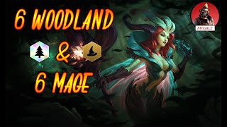 TFT : 6 Woodland & 6 Mage = Double Lux Mage :)