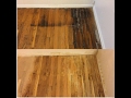 How to remove pet urine stains from wood floors GUARANTEED