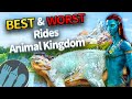 Best  worst rides in disneys animal kingdom