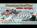 Ausführlich: DPF und AGR selbst reinigen. Flexschlauch tauschen. FRM flashen. Geht das?