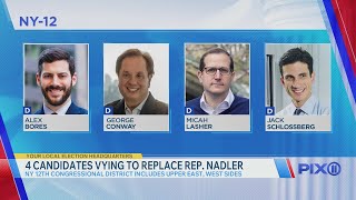 4 candidates vying for NY-12 primary win