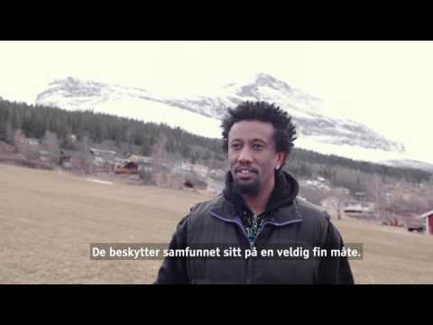Innvandrere om: Det norske samfunnet