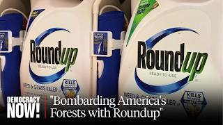 "We Are Bombarding America's Forests with Roundup": Trump Admin Pushes Herbicide Despite Risks