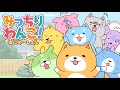 TVアニメ「みっちりわんこ!あにめ〜しょん」PV - MitchiriWanko! Animation - Cute dog characters!