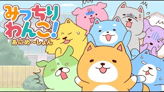 TVアニメ「みっちりわんこ！あにめ〜しょん」PV - MitchiriWanko! Animation - Cute dog characters!