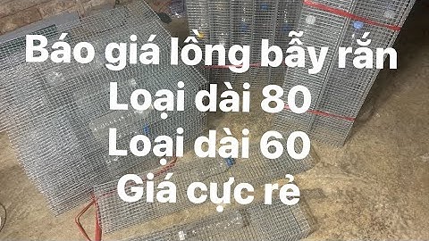 Báo hai mẫu lồng bẫy rắn giá rẻ, 80cm và 60cm