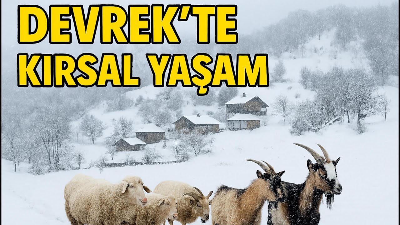 Ergin’le Devrek’te Koyun Keçi Yolculuğu