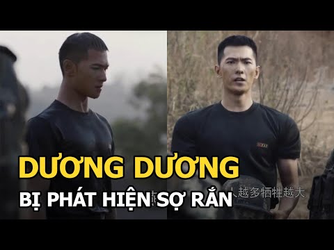 Video Dương Dương lộ 
