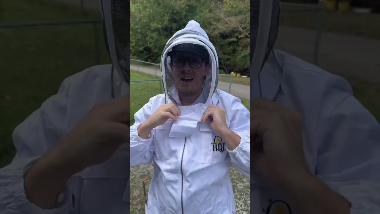 We Took Down A Giant Hornet Nest Hornets Hornetnest Hornetremoval Beekeeping Beeremoval