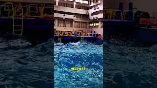 Berenang Di Kolam Ombak🌊