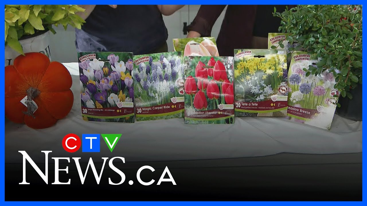 Get Growing: Preparing to prune