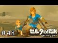 【実況】ゼルダの伝説BotW　＃４８【理科の豆電球使う実験思い出すよね】