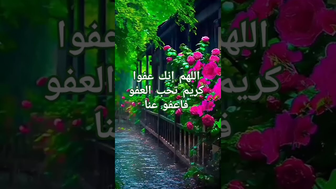 ايات عطرة من الذكر الحكيم #سورة_آل_عمران #ماهر_المعيقلي