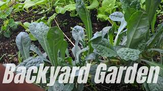 October Texas Garden Tour