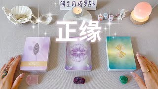 💒你的正缘～你与正缘的连结，正缘特质，宇宙给你的爱情指引和建议～塔罗占卜✨正缘2023