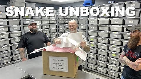 HUGE Ball Python Unboxing!!!