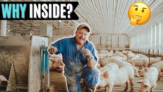 Why Farmers Raise Pigs Inside..