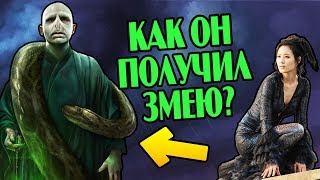 картинка: Как Нагайна Попала к Волан-де-Морту?