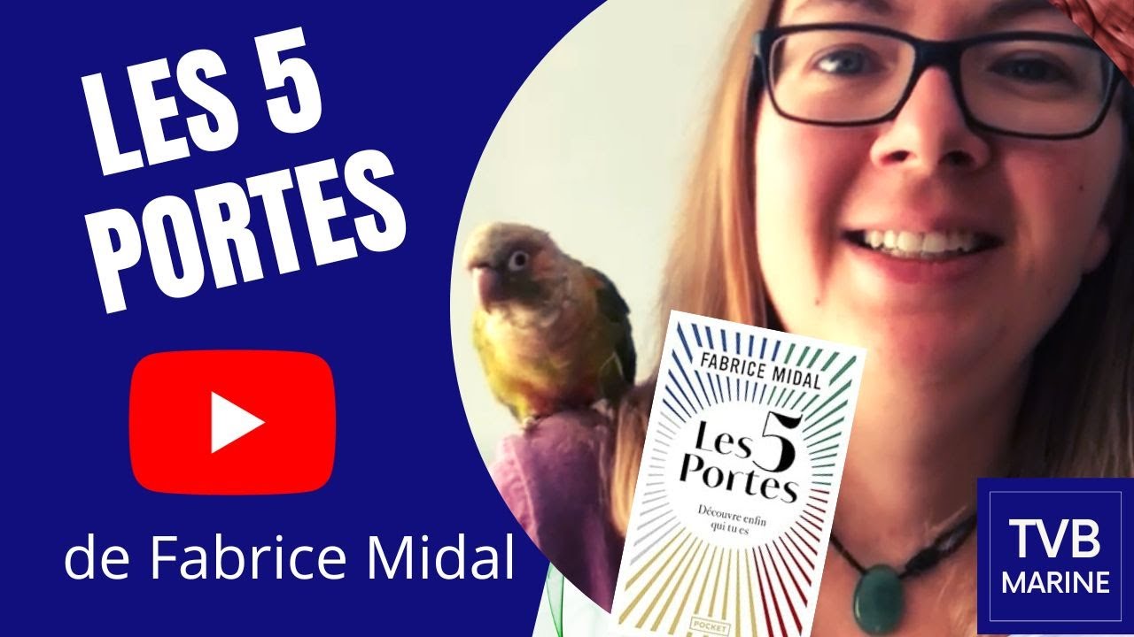 J'ai lu le livre "Les 5 portes" de Fabrice Midal - YouTube
