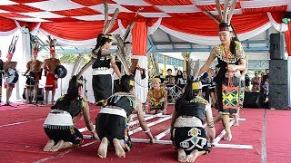 Festival Tari Pedalaman Kalimantan Utara di Tanjung Selor | DAYAK BORNEO #8
