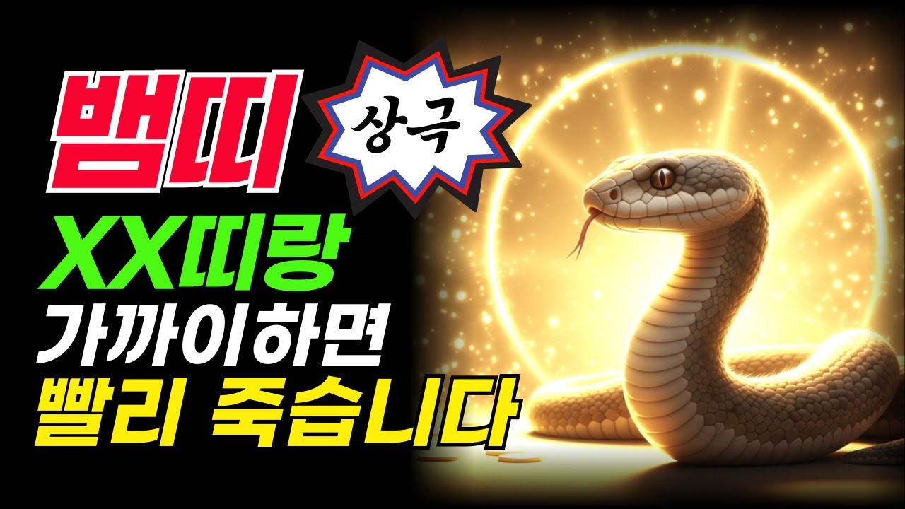 뱀띠와 XX띠와 있으면 건강 잃고 재산까지... 절대 가까이 하면 안 되는 띠 3가지 충격적인 진실