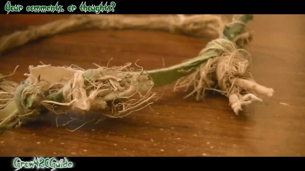 G420G Hemp Bracelet, Subscriber Thoughts?