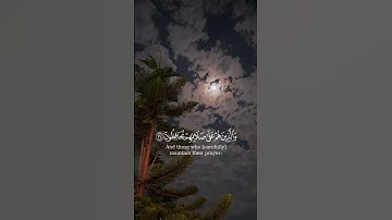 سورة المعارج - المنشاوي 🤍 #اكسبلور #لايك #راحة_نفسية #explore