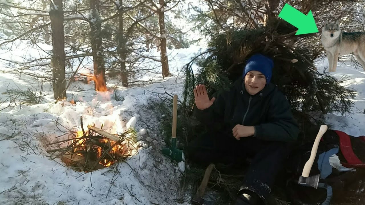Выживание в лесу зимой