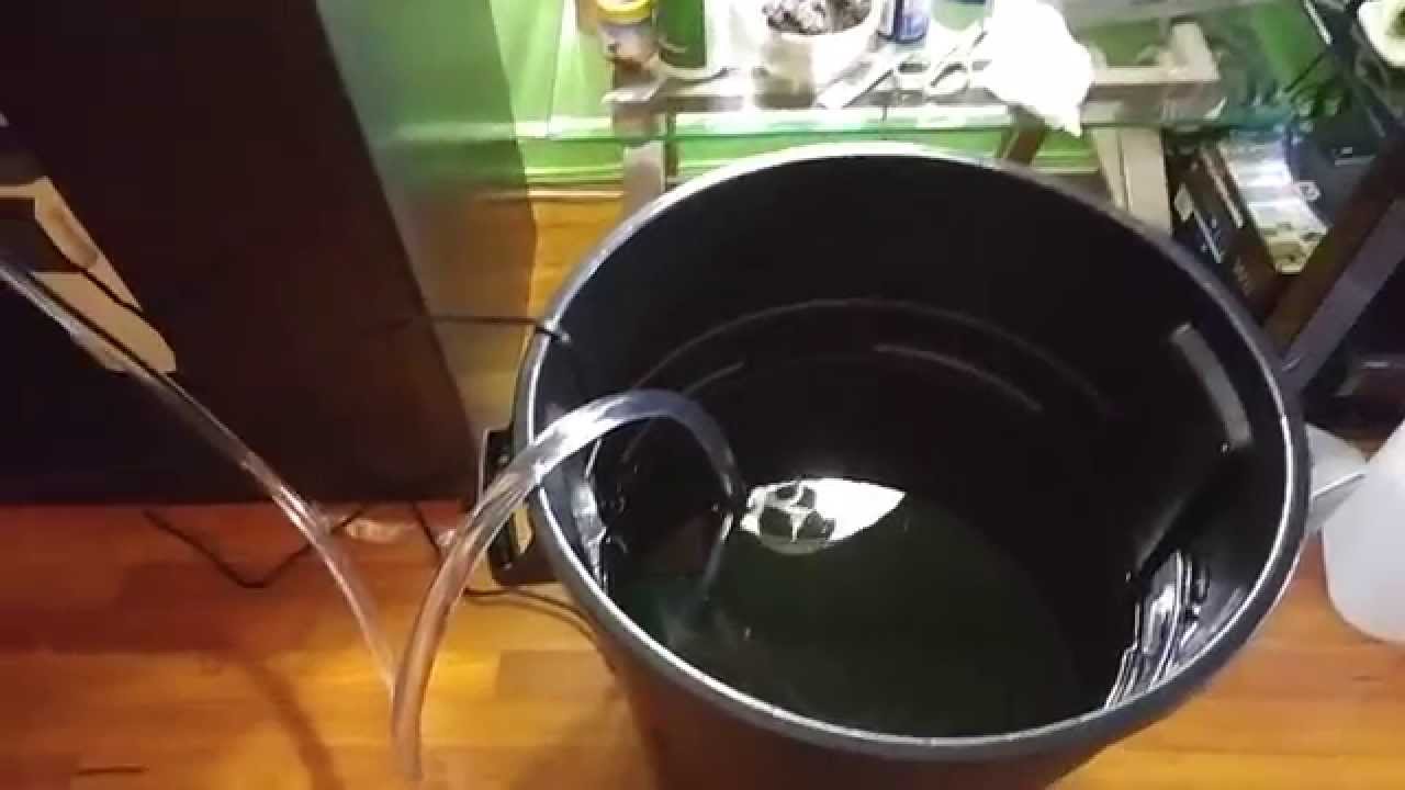 Planted Aquarium Setup. 40 Gallon Breeder