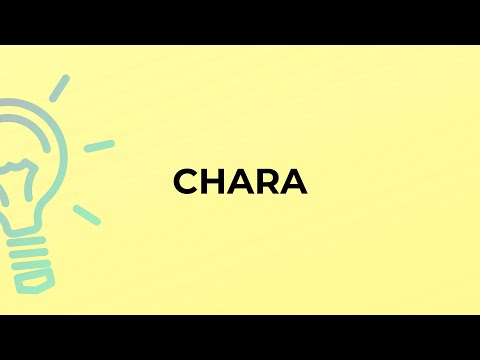What is the meaning of the word CHARA?