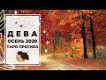 ДЕВА ♍ ОСЕНЬ 2020 🍁: ХАОТИЧНЫЕ ВРЕМЕНА 🌪 | ТАРО ПРОГНОЗ на СЕНТЯБРЬ, ОКТЯБРЬ, НОЯБРЬ 2020.