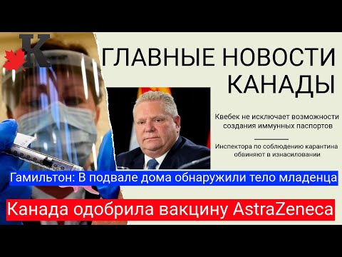 Видео: Загадката за намирането на живи и мъртви гигантски калмари в Северна Канада