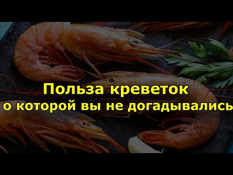 Польза креветок о которой вы не догадывались.