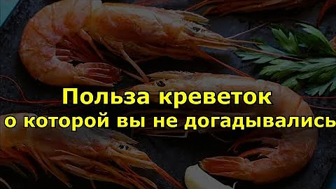 Польза креветок о которой вы не догадывались.
