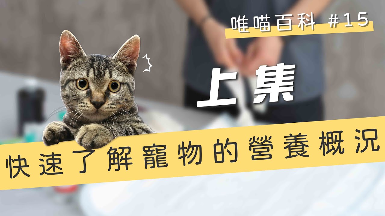 快速了解寵物的營養概況！(上) | 喵皇奴 【唯喵百科 #15】 縮圖