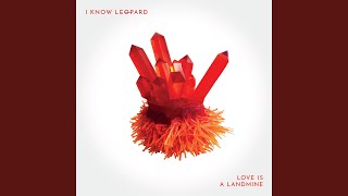 Video thumbnail of "I Know Leopard - Everything Goes With You"