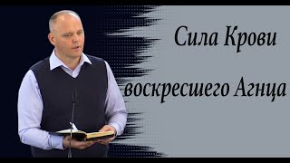 Сила Крови воскресшего Агнца. Freddy Koch