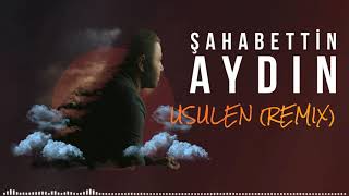 ŞAHABETTİN AYDIN-USULEN(REMİX) Resimi