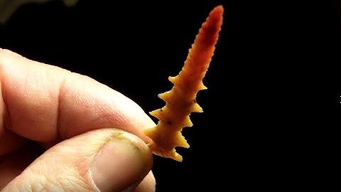 640 - Flintknapping Snaketown Arrowhead 3/3