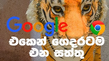 Google AR Animals 3D How to View Google Animals ගූගල් ගෙන් හැම ගෙදරකටම සත්තු